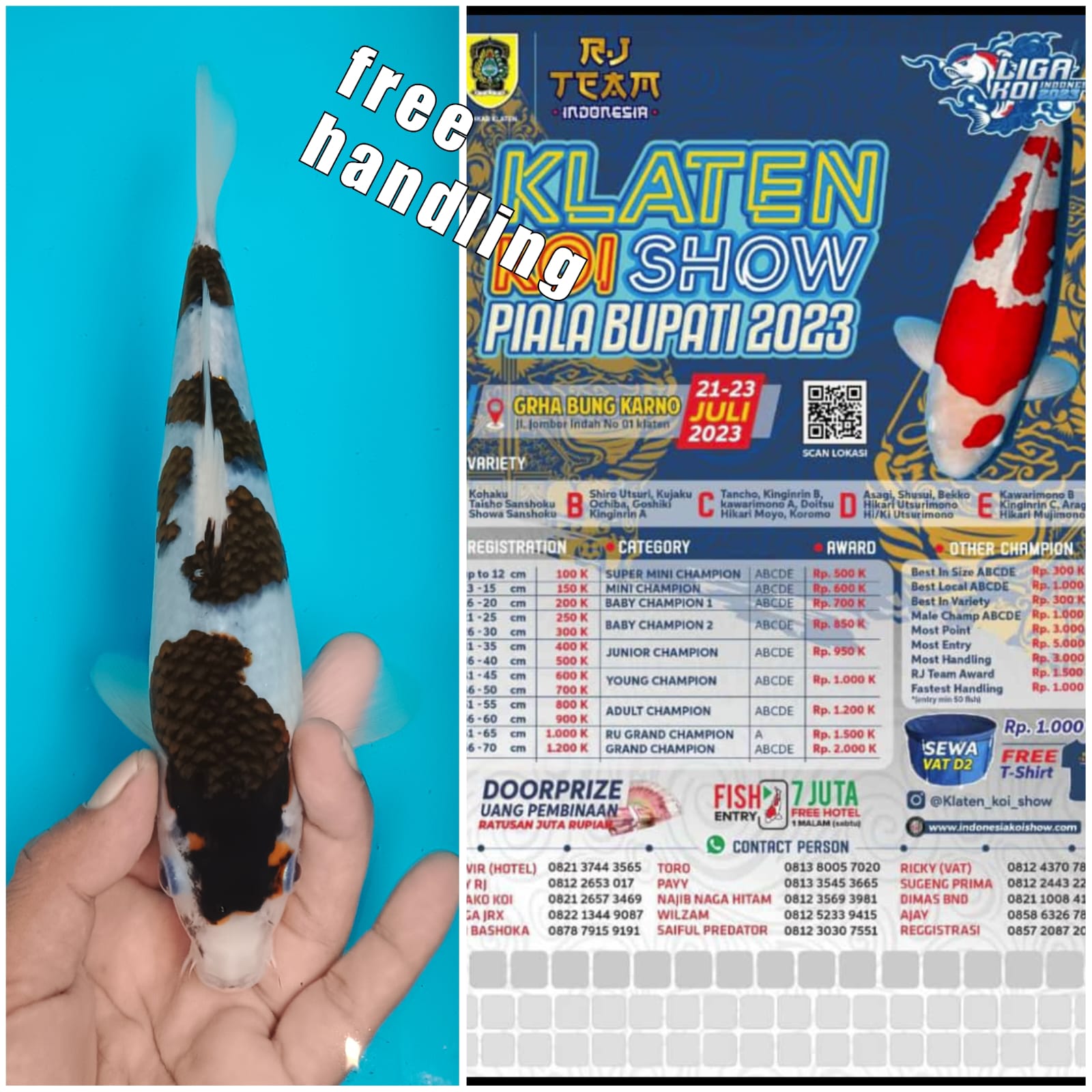 GOROMO FREE HANDLING KALTEN 23cm