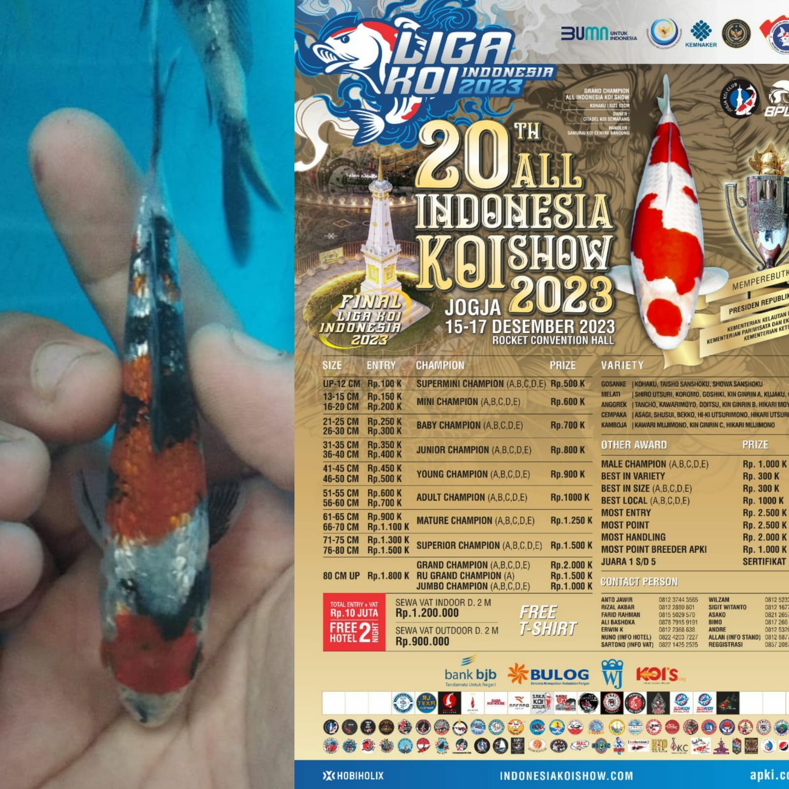 Lelang Koi Online, Jual Beli Ikan Koi, Pusat Jual Beli Koi, Info Lelang Koi Hari Ini, Platform Jual Beli Koi, Jual Beli Ikan Koi Online, Marketplace Ikan Koi, Jual Koi Terbaik, Tempat Beli Koi Berkualitas, Pasar Ikan Koi Online Terpercaya, Penjual Ikan Koi Terpercaya, Beli Koi Hias Online, Ikan Koi untuk Dijual, Koi Kualitas Terbaik, Toko Online Ikan Koi, Koi Hias Untuk Dijual, Jual Beli Ikan Koi Lokal, Koi Indonesia Online, Pusat Jual Beli Koi Terbesar