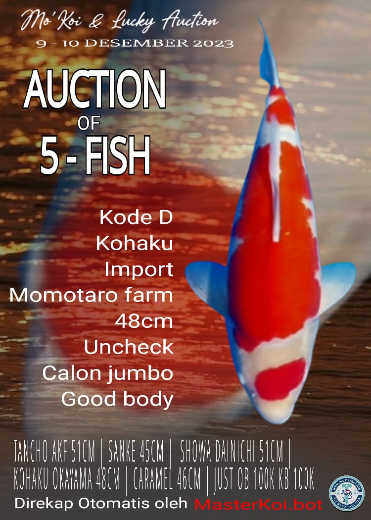 Lelang Koi Online, Jual Beli Ikan Koi, Pusat Jual Beli Koi, Info Lelang Koi Hari Ini, Platform Jual Beli Koi, Jual Beli Ikan Koi Online, Marketplace Ikan Koi, Jual Koi Terbaik, Tempat Beli Koi Berkualitas, Pasar Ikan Koi Online Terpercaya, Penjual Ikan Koi Terpercaya, Beli Koi Hias Online, Ikan Koi untuk Dijual, Koi Kualitas Terbaik, Toko Online Ikan Koi, Koi Hias Untuk Dijual, Jual Beli Ikan Koi Lokal, Koi Indonesia Online, Pusat Jual Beli Koi Terbesar