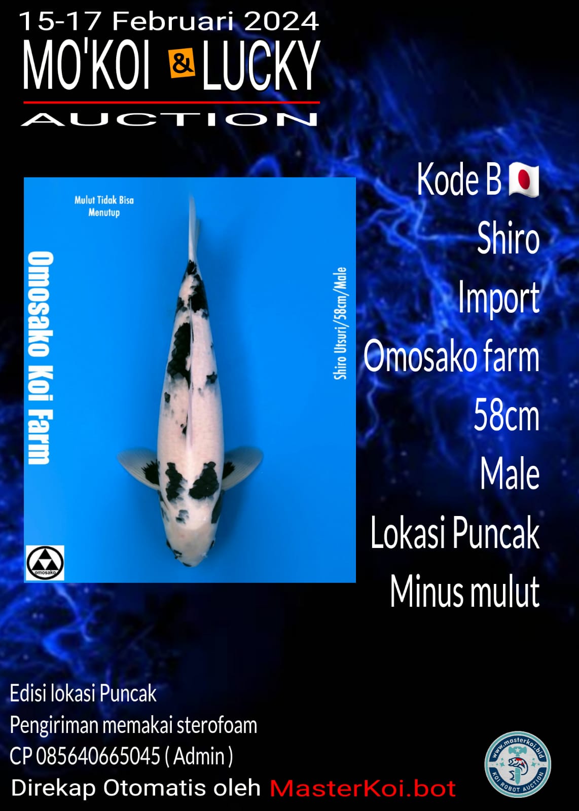 SHIRO 58cm