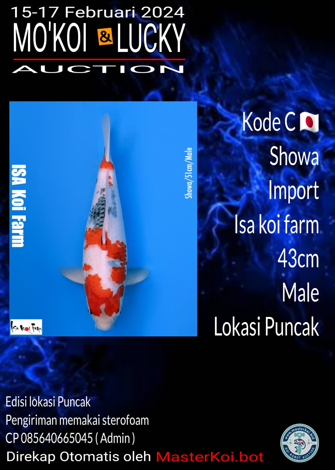 SHOWA 43cm
