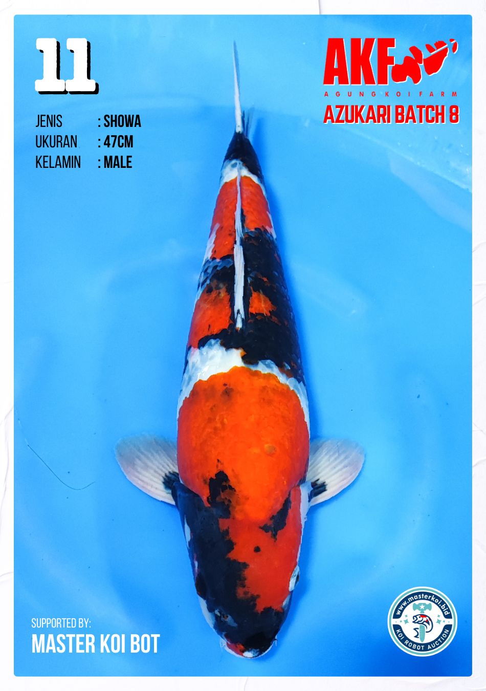 Lelang Koi Online, Jual Beli Ikan Koi, Pusat Jual Beli Koi, Info Lelang Koi Hari Ini, Platform Jual Beli Koi, Jual Beli Ikan Koi Online, Marketplace Ikan Koi, Jual Koi Terbaik, Tempat Beli Koi Berkualitas, Pasar Ikan Koi Online Terpercaya, Penjual Ikan Koi Terpercaya, Beli Koi Hias Online, Ikan Koi untuk Dijual, Koi Kualitas Terbaik, Toko Online Ikan Koi, Koi Hias Untuk Dijual, Jual Beli Ikan Koi Lokal, Koi Indonesia Online, Pusat Jual Beli Koi Terbesar