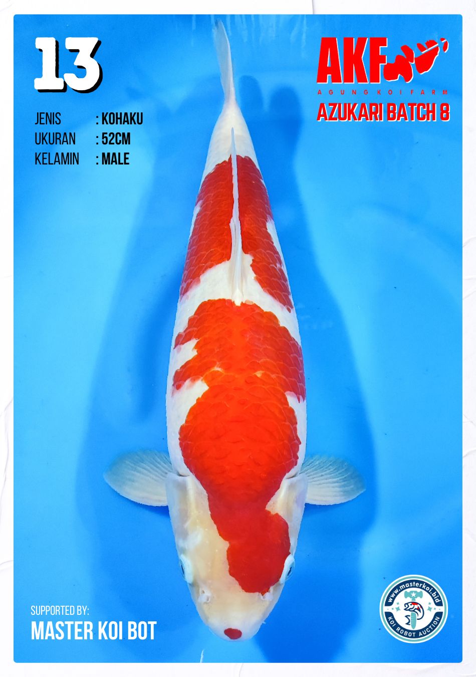 Lelang Koi Online, Jual Beli Ikan Koi, Pusat Jual Beli Koi, Info Lelang Koi Hari Ini, Platform Jual Beli Koi, Jual Beli Ikan Koi Online, Marketplace Ikan Koi, Jual Koi Terbaik, Tempat Beli Koi Berkualitas, Pasar Ikan Koi Online Terpercaya, Penjual Ikan Koi Terpercaya, Beli Koi Hias Online, Ikan Koi untuk Dijual, Koi Kualitas Terbaik, Toko Online Ikan Koi, Koi Hias Untuk Dijual, Jual Beli Ikan Koi Lokal, Koi Indonesia Online, Pusat Jual Beli Koi Terbesar