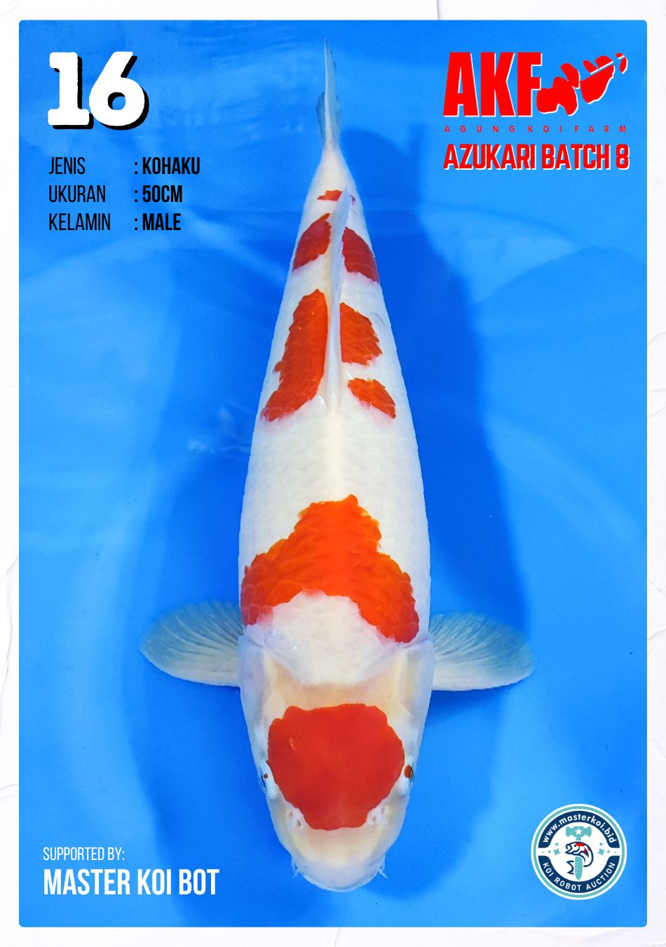 Lelang Koi Online, Jual Beli Ikan Koi, Pusat Jual Beli Koi, Info Lelang Koi Hari Ini, Platform Jual Beli Koi, Jual Beli Ikan Koi Online, Marketplace Ikan Koi, Jual Koi Terbaik, Tempat Beli Koi Berkualitas, Pasar Ikan Koi Online Terpercaya, Penjual Ikan Koi Terpercaya, Beli Koi Hias Online, Ikan Koi untuk Dijual, Koi Kualitas Terbaik, Toko Online Ikan Koi, Koi Hias Untuk Dijual, Jual Beli Ikan Koi Lokal, Koi Indonesia Online, Pusat Jual Beli Koi Terbesar