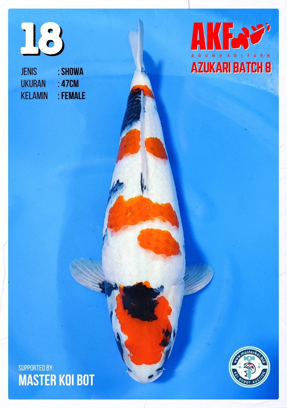 Lelang Koi Online, Jual Beli Ikan Koi, Pusat Jual Beli Koi, Info Lelang Koi Hari Ini, Platform Jual Beli Koi, Jual Beli Ikan Koi Online, Marketplace Ikan Koi, Jual Koi Terbaik, Tempat Beli Koi Berkualitas, Pasar Ikan Koi Online Terpercaya, Penjual Ikan Koi Terpercaya, Beli Koi Hias Online, Ikan Koi untuk Dijual, Koi Kualitas Terbaik, Toko Online Ikan Koi, Koi Hias Untuk Dijual, Jual Beli Ikan Koi Lokal, Koi Indonesia Online, Pusat Jual Beli Koi Terbesar