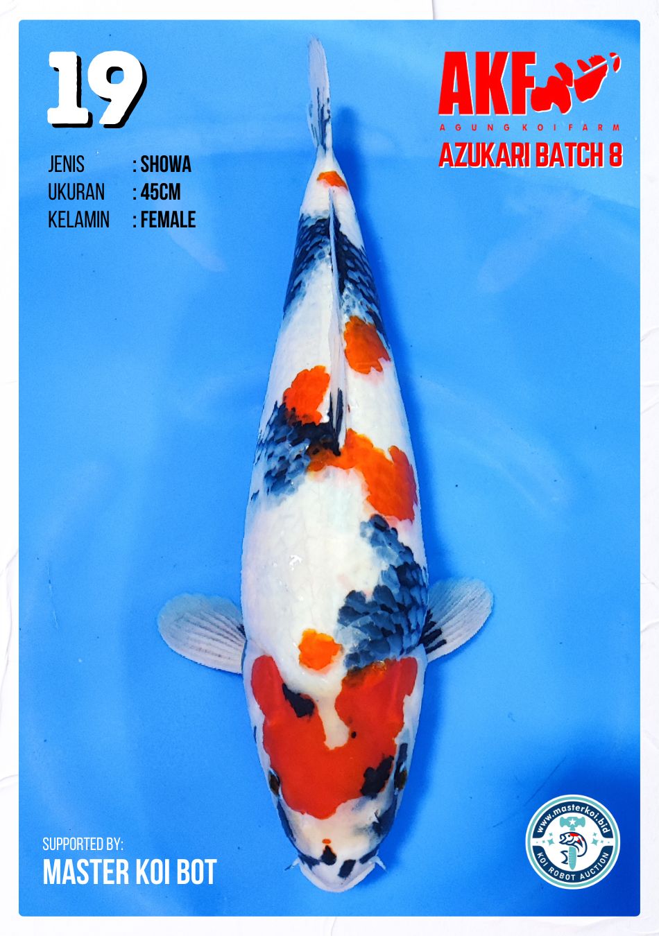 Lelang Koi Online, Jual Beli Ikan Koi, Pusat Jual Beli Koi, Info Lelang Koi Hari Ini, Platform Jual Beli Koi, Jual Beli Ikan Koi Online, Marketplace Ikan Koi, Jual Koi Terbaik, Tempat Beli Koi Berkualitas, Pasar Ikan Koi Online Terpercaya, Penjual Ikan Koi Terpercaya, Beli Koi Hias Online, Ikan Koi untuk Dijual, Koi Kualitas Terbaik, Toko Online Ikan Koi, Koi Hias Untuk Dijual, Jual Beli Ikan Koi Lokal, Koi Indonesia Online, Pusat Jual Beli Koi Terbesar