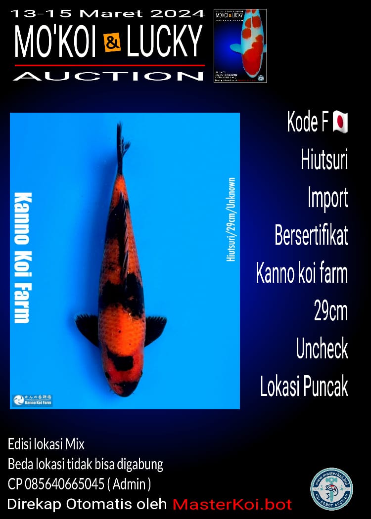 HIUTSURI 29cm