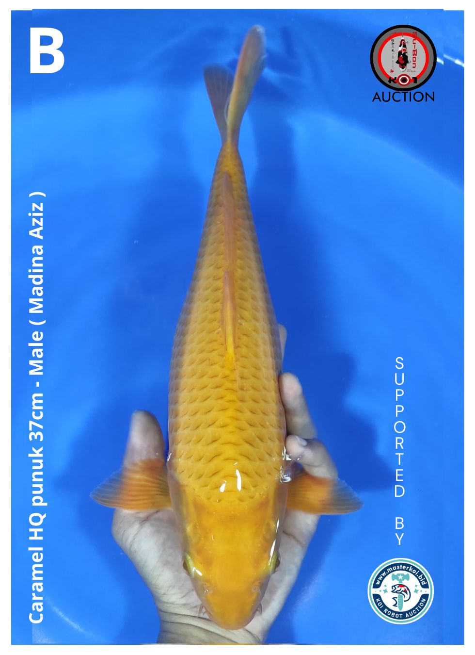 CARAMEL HQ PUNUK 37cm ( MADINA AZIZ )