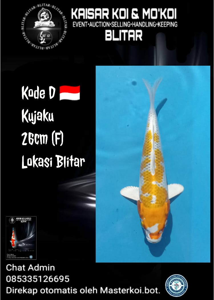 Lelang Koi Online, Jual Beli Ikan Koi, Pusat Jual Beli Koi, Info Lelang Koi Hari Ini, Platform Jual Beli Koi, Jual Beli Ikan Koi Online, Marketplace Ikan Koi, Jual Koi Terbaik, Tempat Beli Koi Berkualitas, Pasar Ikan Koi Online Terpercaya, Penjual Ikan Koi Terpercaya, Beli Koi Hias Online, Ikan Koi untuk Dijual, Koi Kualitas Terbaik, Toko Online Ikan Koi, Koi Hias Untuk Dijual, Jual Beli Ikan Koi Lokal, Koi Indonesia Online, Pusat Jual Beli Koi Terbesar
