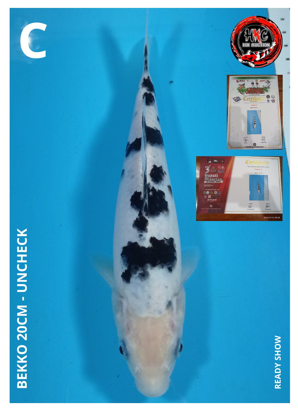 BEKKO 20cm
