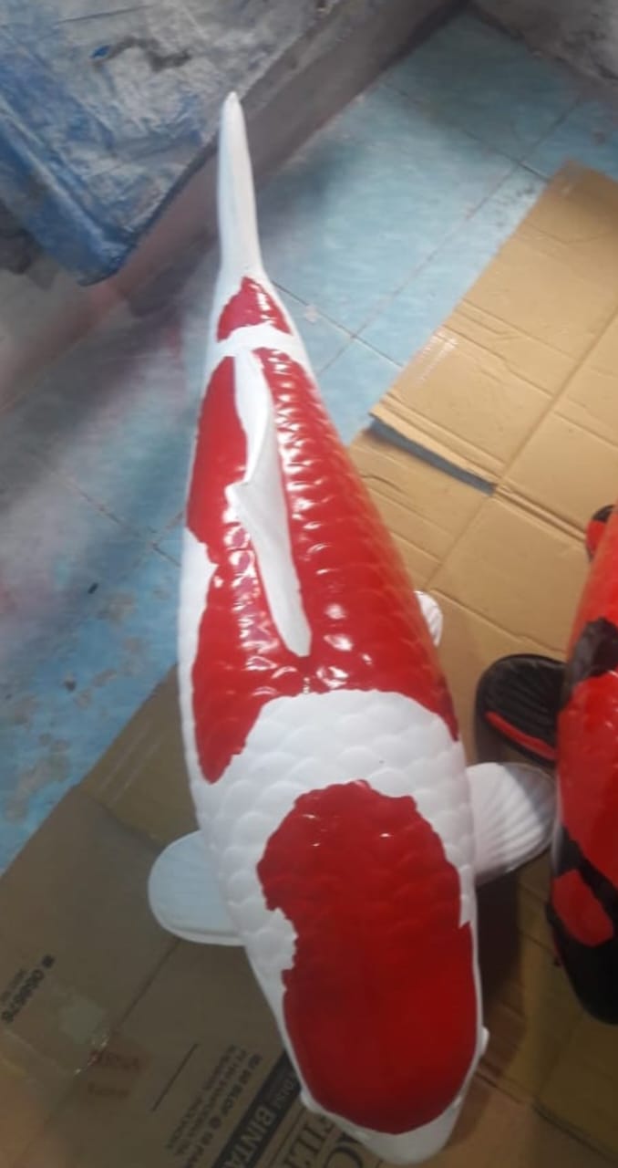 JUMBO KOI MINIATUR POLA BISA KOSTUM 60cm