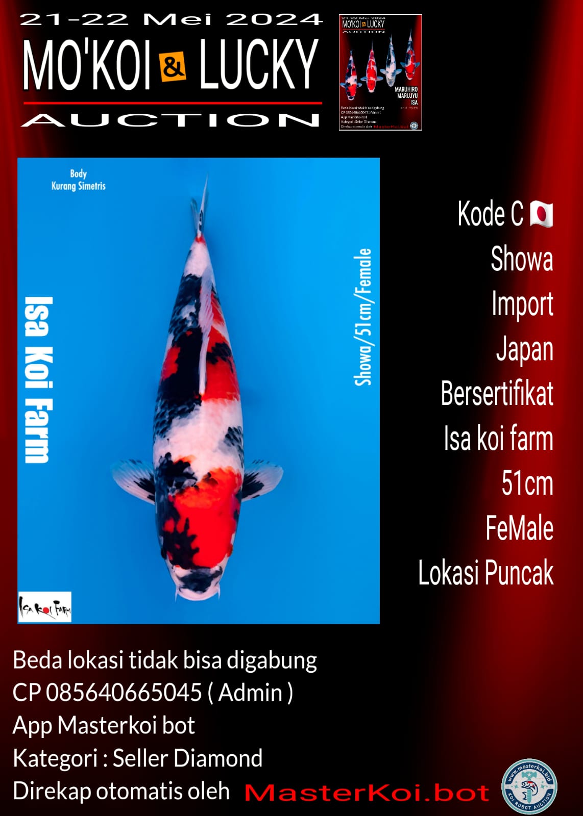 Lelang Koi Online, Jual Beli Ikan Koi, Pusat Jual Beli Koi, Info Lelang Koi Hari Ini, Platform Jual Beli Koi, Jual Beli Ikan Koi Online, Marketplace Ikan Koi, Jual Koi Terbaik, Tempat Beli Koi Berkualitas, Pasar Ikan Koi Online Terpercaya, Penjual Ikan Koi Terpercaya, Beli Koi Hias Online, Ikan Koi untuk Dijual, Koi Kualitas Terbaik, Toko Online Ikan Koi, Koi Hias Untuk Dijual, Jual Beli Ikan Koi Lokal, Koi Indonesia Online, Pusat Jual Beli Koi Terbesar