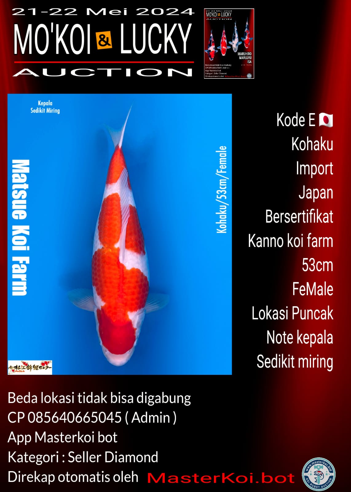 Lelang Koi Online, Jual Beli Ikan Koi, Pusat Jual Beli Koi, Info Lelang Koi Hari Ini, Platform Jual Beli Koi, Jual Beli Ikan Koi Online, Marketplace Ikan Koi, Jual Koi Terbaik, Tempat Beli Koi Berkualitas, Pasar Ikan Koi Online Terpercaya, Penjual Ikan Koi Terpercaya, Beli Koi Hias Online, Ikan Koi untuk Dijual, Koi Kualitas Terbaik, Toko Online Ikan Koi, Koi Hias Untuk Dijual, Jual Beli Ikan Koi Lokal, Koi Indonesia Online, Pusat Jual Beli Koi Terbesar