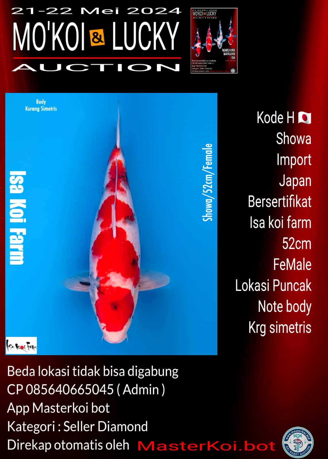 Lelang Koi Online, Jual Beli Ikan Koi, Pusat Jual Beli Koi, Info Lelang Koi Hari Ini, Platform Jual Beli Koi, Jual Beli Ikan Koi Online, Marketplace Ikan Koi, Jual Koi Terbaik, Tempat Beli Koi Berkualitas, Pasar Ikan Koi Online Terpercaya, Penjual Ikan Koi Terpercaya, Beli Koi Hias Online, Ikan Koi untuk Dijual, Koi Kualitas Terbaik, Toko Online Ikan Koi, Koi Hias Untuk Dijual, Jual Beli Ikan Koi Lokal, Koi Indonesia Online, Pusat Jual Beli Koi Terbesar