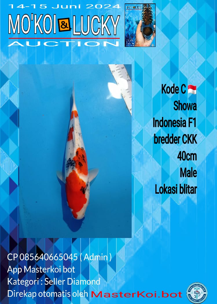 SHOWA 40cm