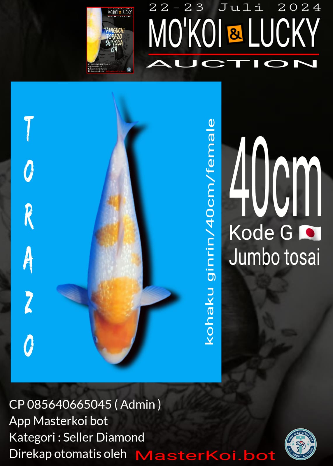 KOHAKU GINRIN 40cm