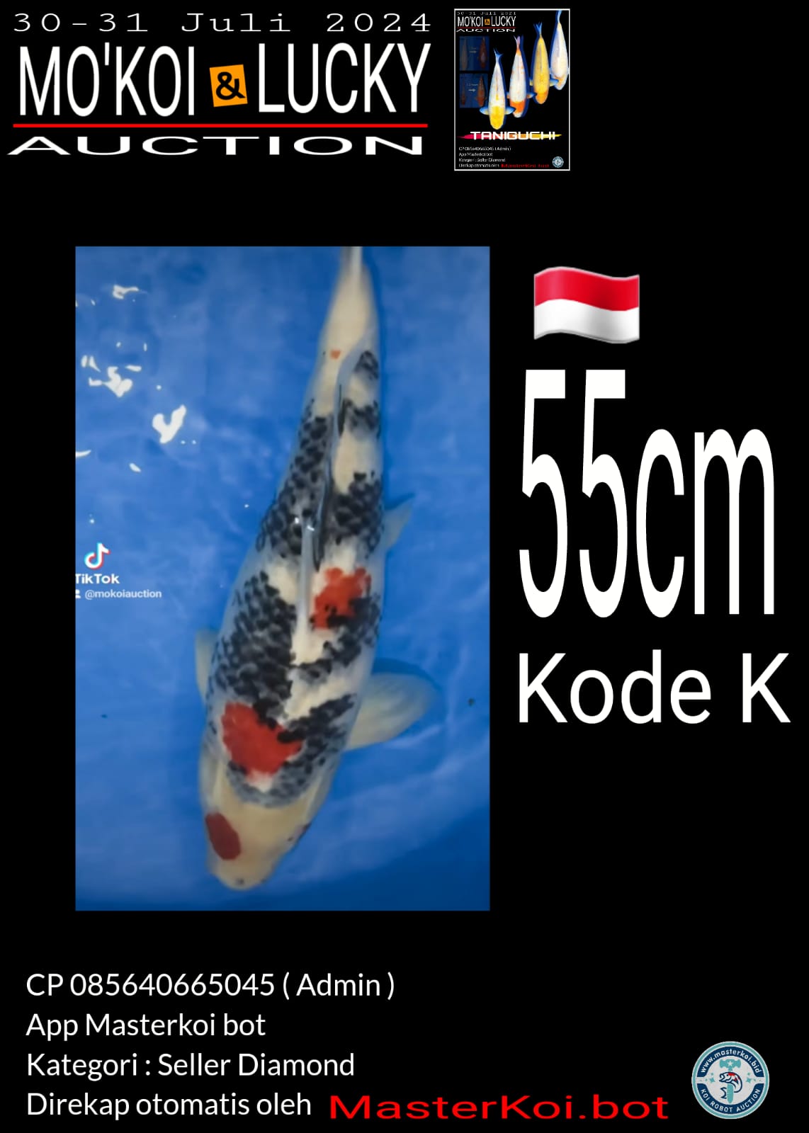 KINDAI SHOWA TATEGOI 55cm