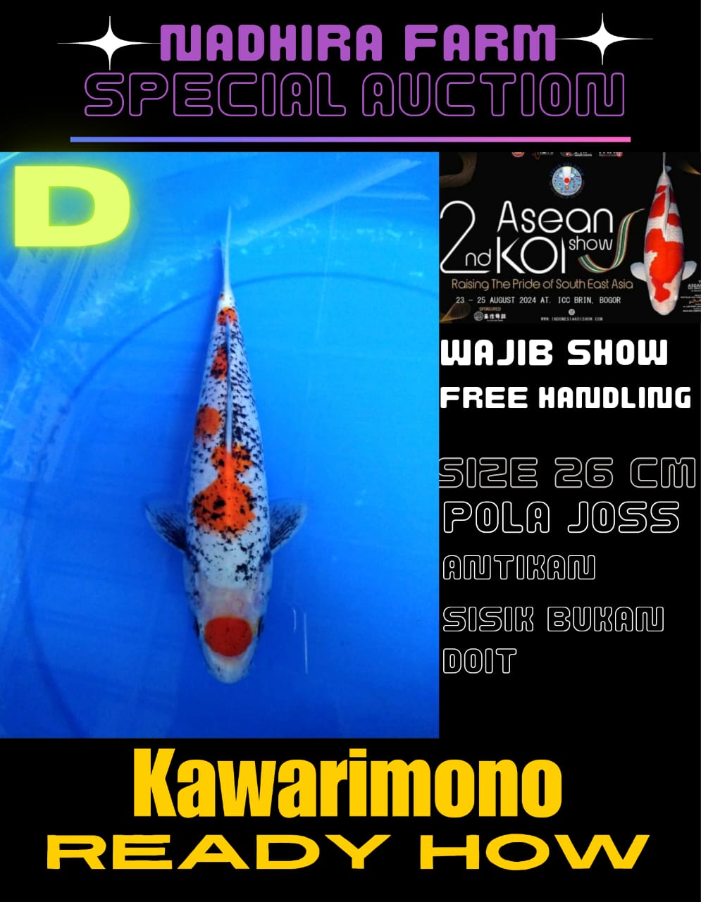 KAWARIMONO 26cm