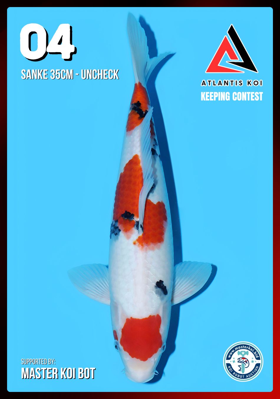 Lelang Koi Online, Jual Beli Ikan Koi, Pusat Jual Beli Koi, Info Lelang Koi Hari Ini, Platform Jual Beli Koi, Jual Beli Ikan Koi Online, Marketplace Ikan Koi, Jual Koi Terbaik, Tempat Beli Koi Berkualitas, Pasar Ikan Koi Online Terpercaya, Penjual Ikan Koi Terpercaya, Beli Koi Hias Online, Ikan Koi untuk Dijual, Koi Kualitas Terbaik, Toko Online Ikan Koi, Koi Hias Untuk Dijual, Jual Beli Ikan Koi Lokal, Koi Indonesia Online, Pusat Jual Beli Koi Terbesar