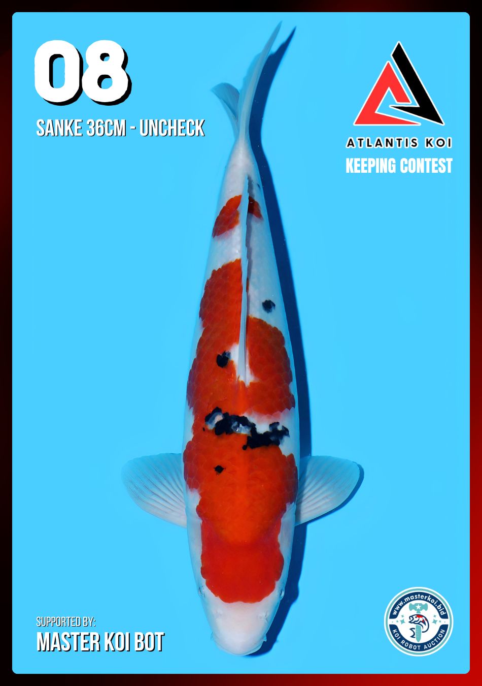 Lelang Koi Online, Jual Beli Ikan Koi, Pusat Jual Beli Koi, Info Lelang Koi Hari Ini, Platform Jual Beli Koi, Jual Beli Ikan Koi Online, Marketplace Ikan Koi, Jual Koi Terbaik, Tempat Beli Koi Berkualitas, Pasar Ikan Koi Online Terpercaya, Penjual Ikan Koi Terpercaya, Beli Koi Hias Online, Ikan Koi untuk Dijual, Koi Kualitas Terbaik, Toko Online Ikan Koi, Koi Hias Untuk Dijual, Jual Beli Ikan Koi Lokal, Koi Indonesia Online, Pusat Jual Beli Koi Terbesar