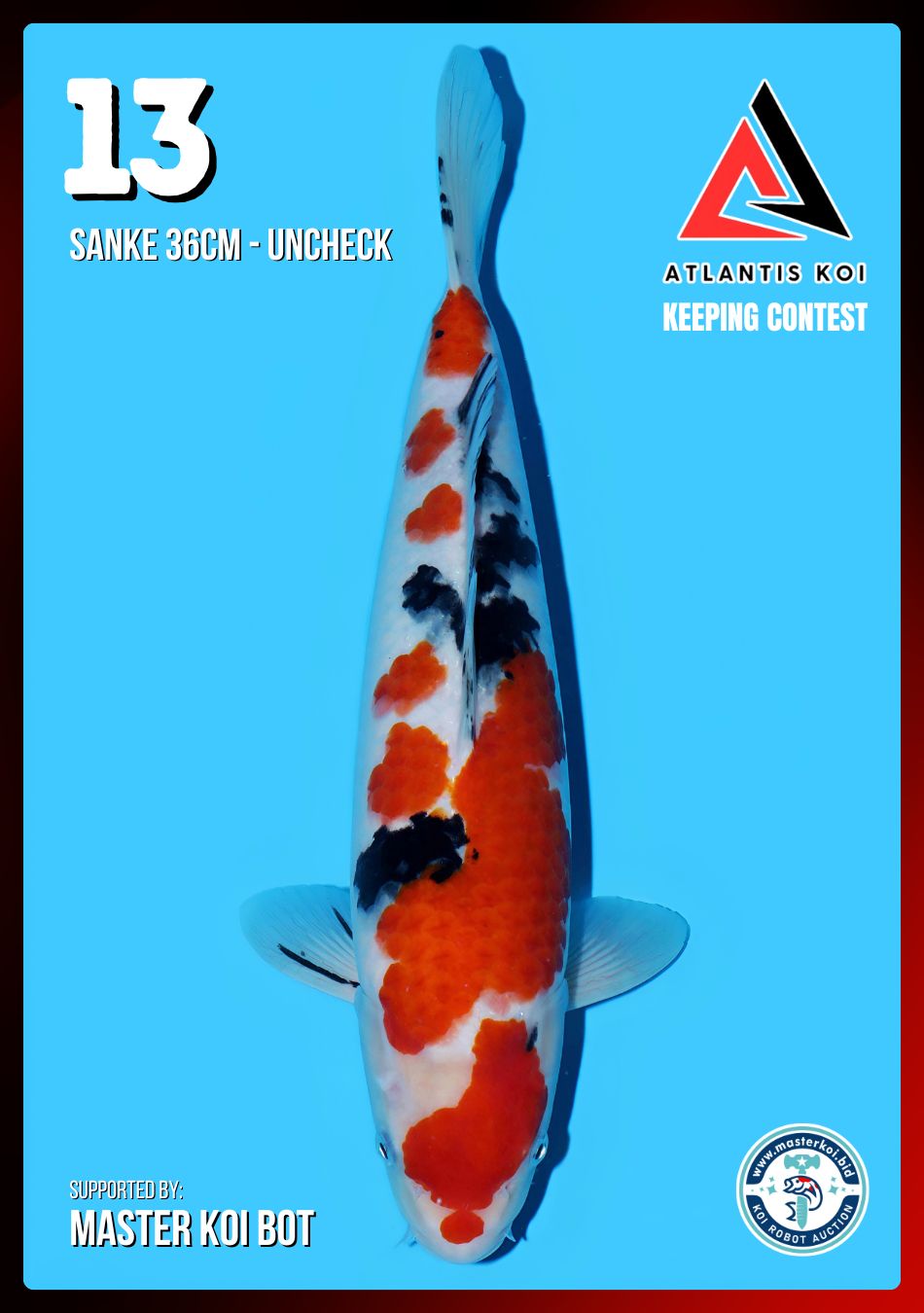 Lelang Koi Online, Jual Beli Ikan Koi, Pusat Jual Beli Koi, Info Lelang Koi Hari Ini, Platform Jual Beli Koi, Jual Beli Ikan Koi Online, Marketplace Ikan Koi, Jual Koi Terbaik, Tempat Beli Koi Berkualitas, Pasar Ikan Koi Online Terpercaya, Penjual Ikan Koi Terpercaya, Beli Koi Hias Online, Ikan Koi untuk Dijual, Koi Kualitas Terbaik, Toko Online Ikan Koi, Koi Hias Untuk Dijual, Jual Beli Ikan Koi Lokal, Koi Indonesia Online, Pusat Jual Beli Koi Terbesar