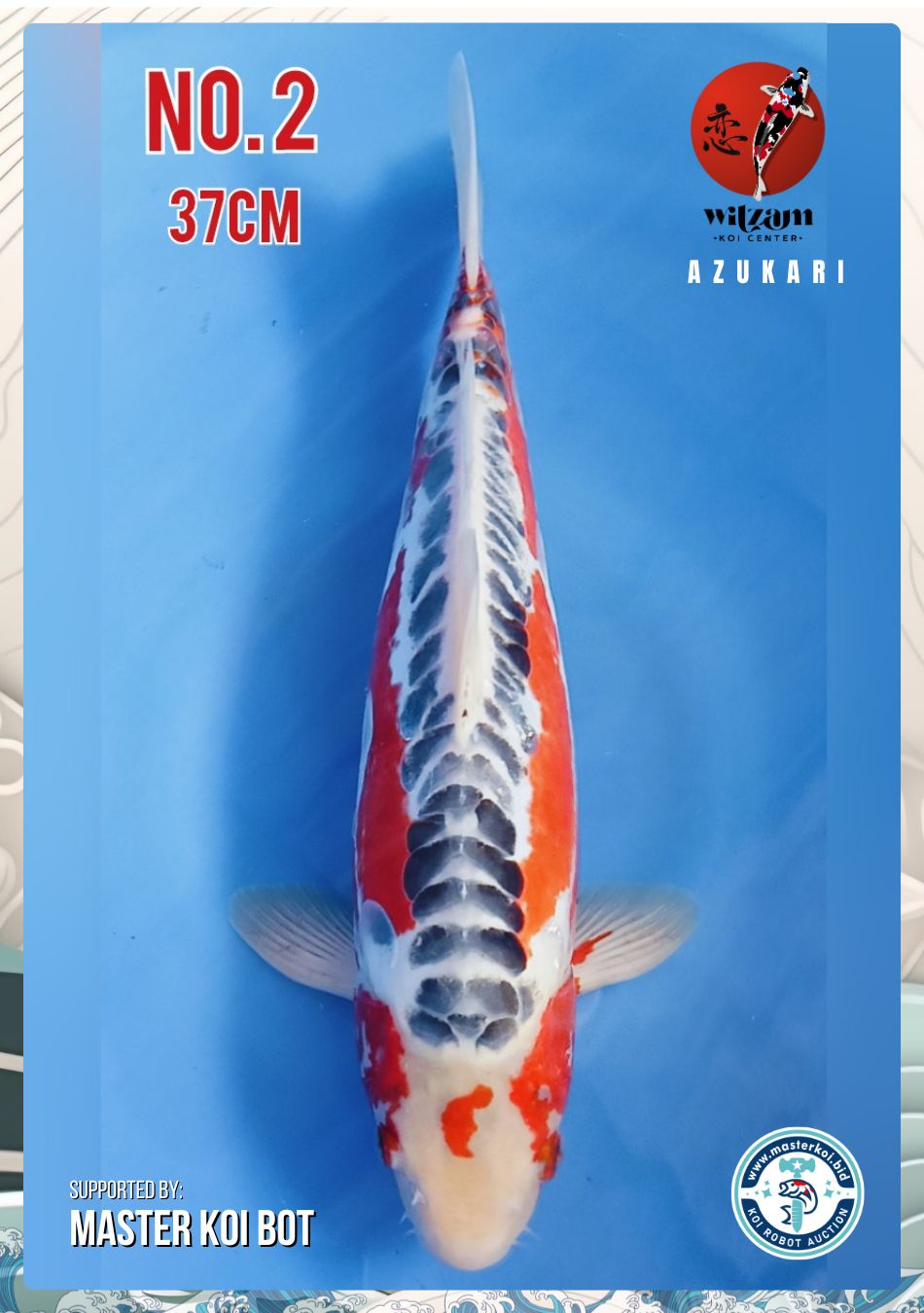 Lelang Koi Online, Jual Beli Ikan Koi, Pusat Jual Beli Koi, Info Lelang Koi Hari Ini, Platform Jual Beli Koi, Jual Beli Ikan Koi Online, Marketplace Ikan Koi, Jual Koi Terbaik, Tempat Beli Koi Berkualitas, Pasar Ikan Koi Online Terpercaya, Penjual Ikan Koi Terpercaya, Beli Koi Hias Online, Ikan Koi untuk Dijual, Koi Kualitas Terbaik, Toko Online Ikan Koi, Koi Hias Untuk Dijual, Jual Beli Ikan Koi Lokal, Koi Indonesia Online, Pusat Jual Beli Koi Terbesar