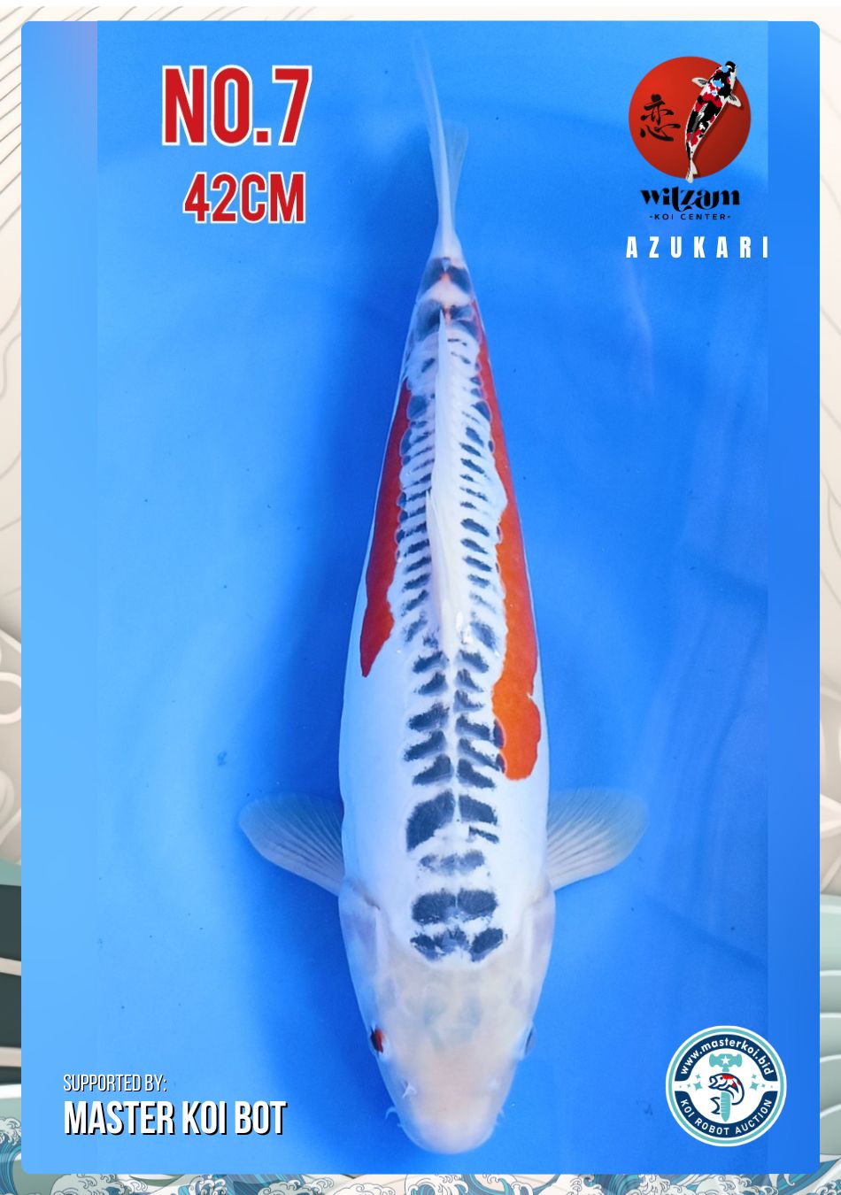 Lelang Koi Online, Jual Beli Ikan Koi, Pusat Jual Beli Koi, Info Lelang Koi Hari Ini, Platform Jual Beli Koi, Jual Beli Ikan Koi Online, Marketplace Ikan Koi, Jual Koi Terbaik, Tempat Beli Koi Berkualitas, Pasar Ikan Koi Online Terpercaya, Penjual Ikan Koi Terpercaya, Beli Koi Hias Online, Ikan Koi untuk Dijual, Koi Kualitas Terbaik, Toko Online Ikan Koi, Koi Hias Untuk Dijual, Jual Beli Ikan Koi Lokal, Koi Indonesia Online, Pusat Jual Beli Koi Terbesar