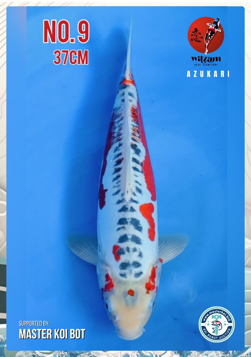 Lelang Koi Online, Jual Beli Ikan Koi, Pusat Jual Beli Koi, Info Lelang Koi Hari Ini, Platform Jual Beli Koi, Jual Beli Ikan Koi Online, Marketplace Ikan Koi, Jual Koi Terbaik, Tempat Beli Koi Berkualitas, Pasar Ikan Koi Online Terpercaya, Penjual Ikan Koi Terpercaya, Beli Koi Hias Online, Ikan Koi untuk Dijual, Koi Kualitas Terbaik, Toko Online Ikan Koi, Koi Hias Untuk Dijual, Jual Beli Ikan Koi Lokal, Koi Indonesia Online, Pusat Jual Beli Koi Terbesar