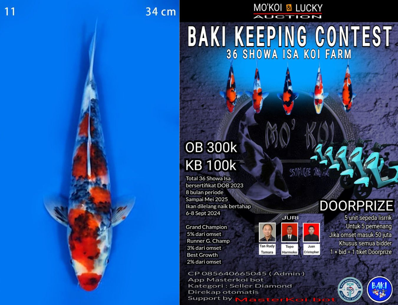 Lelang Koi Online, Jual Beli Ikan Koi, Pusat Jual Beli Koi, Info Lelang Koi Hari Ini, Platform Jual Beli Koi, Jual Beli Ikan Koi Online, Marketplace Ikan Koi, Jual Koi Terbaik, Tempat Beli Koi Berkualitas, Pasar Ikan Koi Online Terpercaya, Penjual Ikan Koi Terpercaya, Beli Koi Hias Online, Ikan Koi untuk Dijual, Koi Kualitas Terbaik, Toko Online Ikan Koi, Koi Hias Untuk Dijual, Jual Beli Ikan Koi Lokal, Koi Indonesia Online, Pusat Jual Beli Koi Terbesar