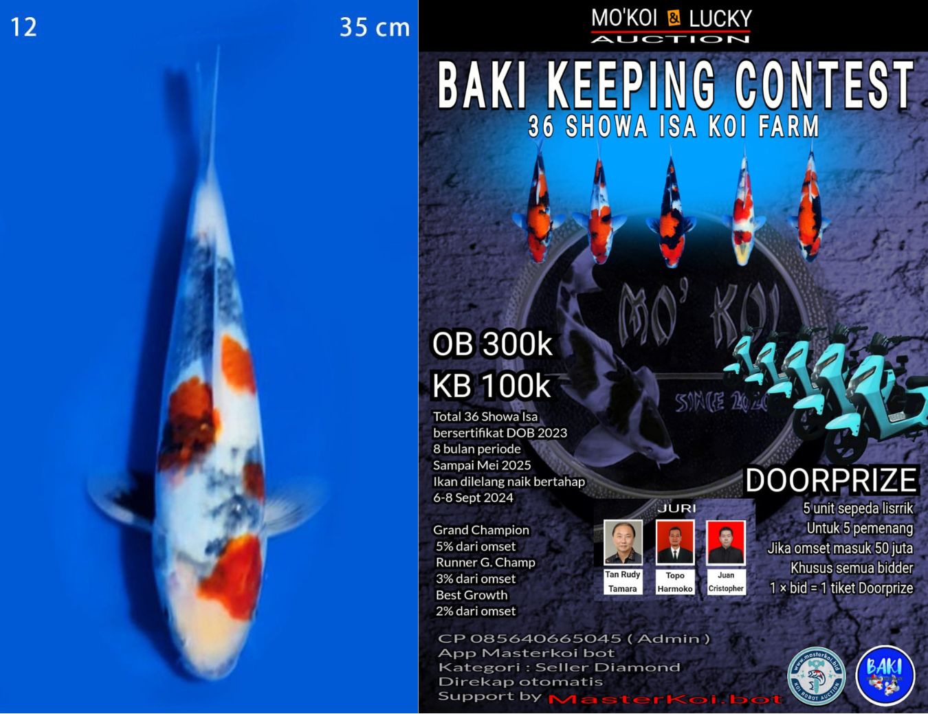 Lelang Koi Online, Jual Beli Ikan Koi, Pusat Jual Beli Koi, Info Lelang Koi Hari Ini, Platform Jual Beli Koi, Jual Beli Ikan Koi Online, Marketplace Ikan Koi, Jual Koi Terbaik, Tempat Beli Koi Berkualitas, Pasar Ikan Koi Online Terpercaya, Penjual Ikan Koi Terpercaya, Beli Koi Hias Online, Ikan Koi untuk Dijual, Koi Kualitas Terbaik, Toko Online Ikan Koi, Koi Hias Untuk Dijual, Jual Beli Ikan Koi Lokal, Koi Indonesia Online, Pusat Jual Beli Koi Terbesar