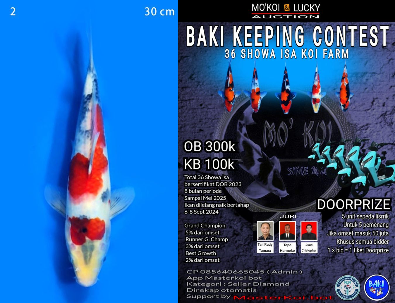 Lelang Koi Online, Jual Beli Ikan Koi, Pusat Jual Beli Koi, Info Lelang Koi Hari Ini, Platform Jual Beli Koi, Jual Beli Ikan Koi Online, Marketplace Ikan Koi, Jual Koi Terbaik, Tempat Beli Koi Berkualitas, Pasar Ikan Koi Online Terpercaya, Penjual Ikan Koi Terpercaya, Beli Koi Hias Online, Ikan Koi untuk Dijual, Koi Kualitas Terbaik, Toko Online Ikan Koi, Koi Hias Untuk Dijual, Jual Beli Ikan Koi Lokal, Koi Indonesia Online, Pusat Jual Beli Koi Terbesar