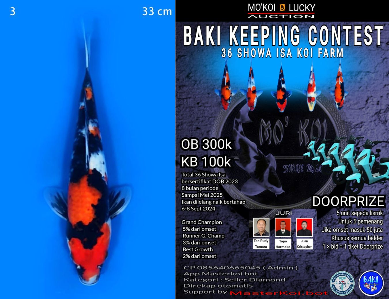 Lelang Koi Online, Jual Beli Ikan Koi, Pusat Jual Beli Koi, Info Lelang Koi Hari Ini, Platform Jual Beli Koi, Jual Beli Ikan Koi Online, Marketplace Ikan Koi, Jual Koi Terbaik, Tempat Beli Koi Berkualitas, Pasar Ikan Koi Online Terpercaya, Penjual Ikan Koi Terpercaya, Beli Koi Hias Online, Ikan Koi untuk Dijual, Koi Kualitas Terbaik, Toko Online Ikan Koi, Koi Hias Untuk Dijual, Jual Beli Ikan Koi Lokal, Koi Indonesia Online, Pusat Jual Beli Koi Terbesar