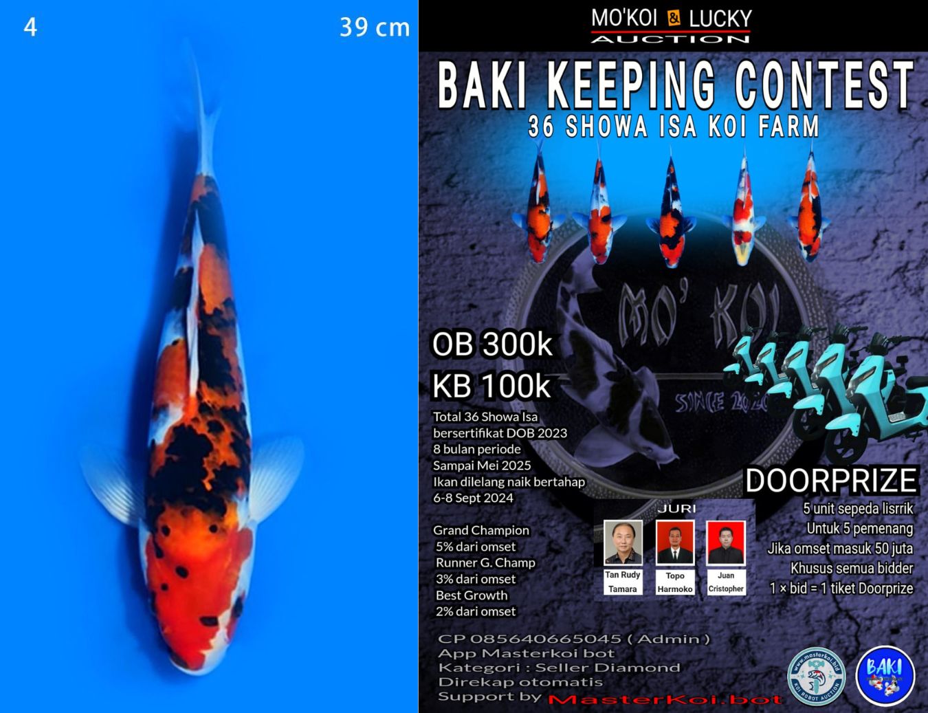 Lelang Koi Online, Jual Beli Ikan Koi, Pusat Jual Beli Koi, Info Lelang Koi Hari Ini, Platform Jual Beli Koi, Jual Beli Ikan Koi Online, Marketplace Ikan Koi, Jual Koi Terbaik, Tempat Beli Koi Berkualitas, Pasar Ikan Koi Online Terpercaya, Penjual Ikan Koi Terpercaya, Beli Koi Hias Online, Ikan Koi untuk Dijual, Koi Kualitas Terbaik, Toko Online Ikan Koi, Koi Hias Untuk Dijual, Jual Beli Ikan Koi Lokal, Koi Indonesia Online, Pusat Jual Beli Koi Terbesar