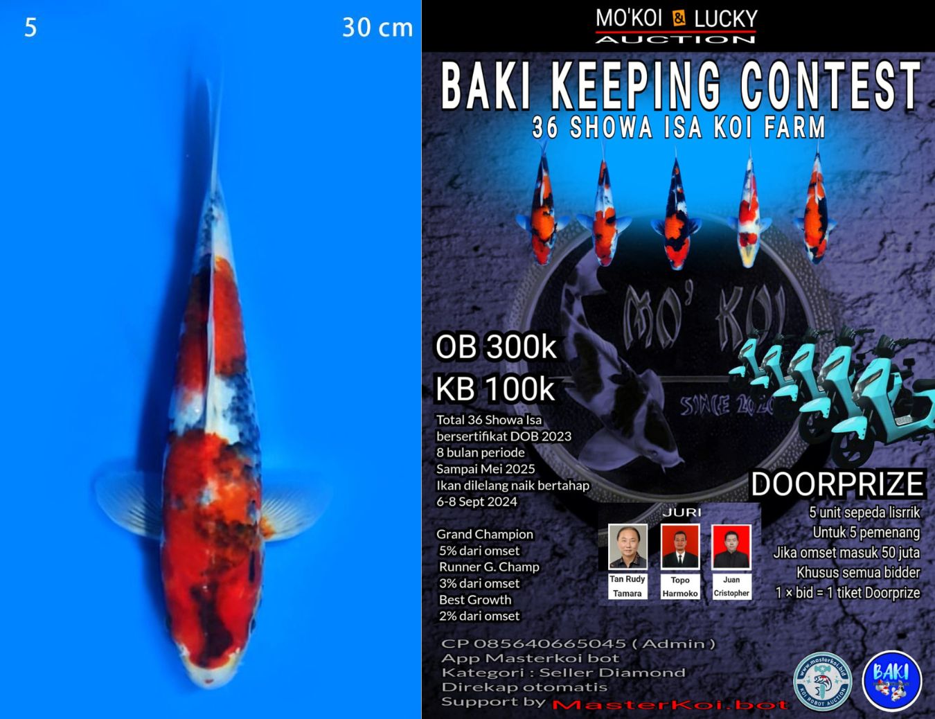 Lelang Koi Online, Jual Beli Ikan Koi, Pusat Jual Beli Koi, Info Lelang Koi Hari Ini, Platform Jual Beli Koi, Jual Beli Ikan Koi Online, Marketplace Ikan Koi, Jual Koi Terbaik, Tempat Beli Koi Berkualitas, Pasar Ikan Koi Online Terpercaya, Penjual Ikan Koi Terpercaya, Beli Koi Hias Online, Ikan Koi untuk Dijual, Koi Kualitas Terbaik, Toko Online Ikan Koi, Koi Hias Untuk Dijual, Jual Beli Ikan Koi Lokal, Koi Indonesia Online, Pusat Jual Beli Koi Terbesar