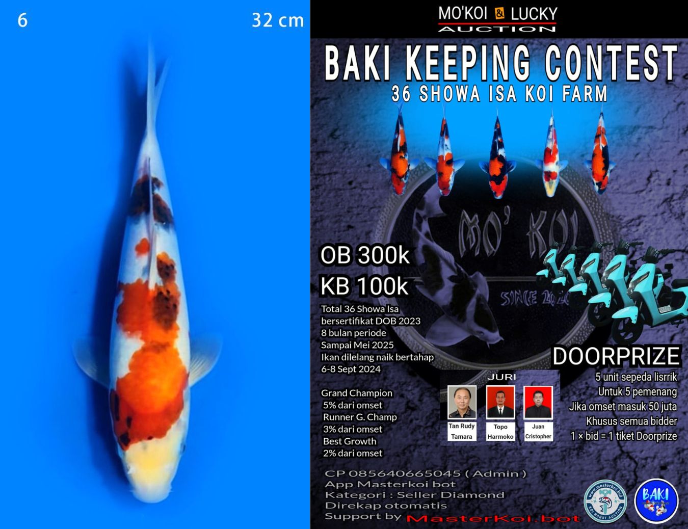 Lelang Koi Online, Jual Beli Ikan Koi, Pusat Jual Beli Koi, Info Lelang Koi Hari Ini, Platform Jual Beli Koi, Jual Beli Ikan Koi Online, Marketplace Ikan Koi, Jual Koi Terbaik, Tempat Beli Koi Berkualitas, Pasar Ikan Koi Online Terpercaya, Penjual Ikan Koi Terpercaya, Beli Koi Hias Online, Ikan Koi untuk Dijual, Koi Kualitas Terbaik, Toko Online Ikan Koi, Koi Hias Untuk Dijual, Jual Beli Ikan Koi Lokal, Koi Indonesia Online, Pusat Jual Beli Koi Terbesar