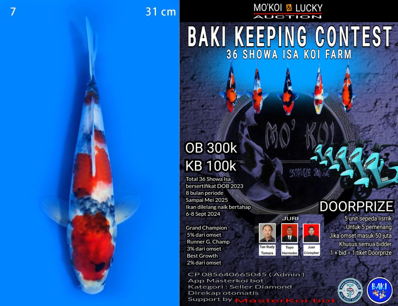 Lelang Koi Online, Jual Beli Ikan Koi, Pusat Jual Beli Koi, Info Lelang Koi Hari Ini, Platform Jual Beli Koi, Jual Beli Ikan Koi Online, Marketplace Ikan Koi, Jual Koi Terbaik, Tempat Beli Koi Berkualitas, Pasar Ikan Koi Online Terpercaya, Penjual Ikan Koi Terpercaya, Beli Koi Hias Online, Ikan Koi untuk Dijual, Koi Kualitas Terbaik, Toko Online Ikan Koi, Koi Hias Untuk Dijual, Jual Beli Ikan Koi Lokal, Koi Indonesia Online, Pusat Jual Beli Koi Terbesar