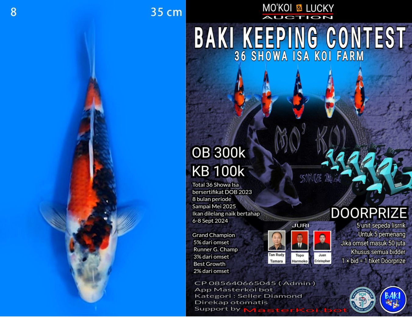 Lelang Koi Online, Jual Beli Ikan Koi, Pusat Jual Beli Koi, Info Lelang Koi Hari Ini, Platform Jual Beli Koi, Jual Beli Ikan Koi Online, Marketplace Ikan Koi, Jual Koi Terbaik, Tempat Beli Koi Berkualitas, Pasar Ikan Koi Online Terpercaya, Penjual Ikan Koi Terpercaya, Beli Koi Hias Online, Ikan Koi untuk Dijual, Koi Kualitas Terbaik, Toko Online Ikan Koi, Koi Hias Untuk Dijual, Jual Beli Ikan Koi Lokal, Koi Indonesia Online, Pusat Jual Beli Koi Terbesar