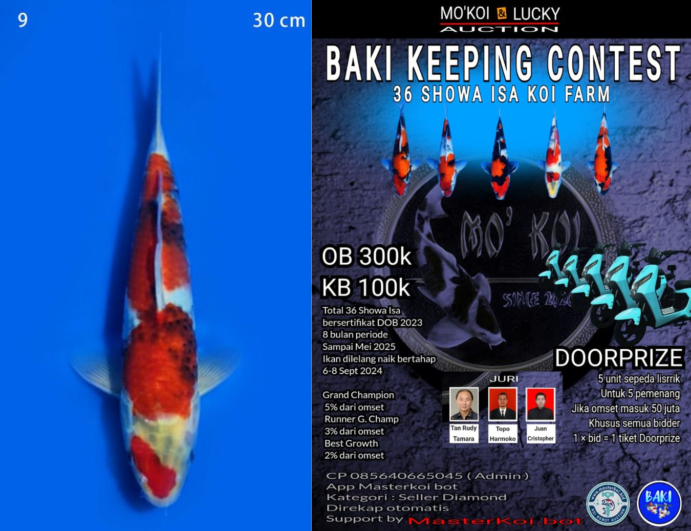 Lelang Koi Online, Jual Beli Ikan Koi, Pusat Jual Beli Koi, Info Lelang Koi Hari Ini, Platform Jual Beli Koi, Jual Beli Ikan Koi Online, Marketplace Ikan Koi, Jual Koi Terbaik, Tempat Beli Koi Berkualitas, Pasar Ikan Koi Online Terpercaya, Penjual Ikan Koi Terpercaya, Beli Koi Hias Online, Ikan Koi untuk Dijual, Koi Kualitas Terbaik, Toko Online Ikan Koi, Koi Hias Untuk Dijual, Jual Beli Ikan Koi Lokal, Koi Indonesia Online, Pusat Jual Beli Koi Terbesar