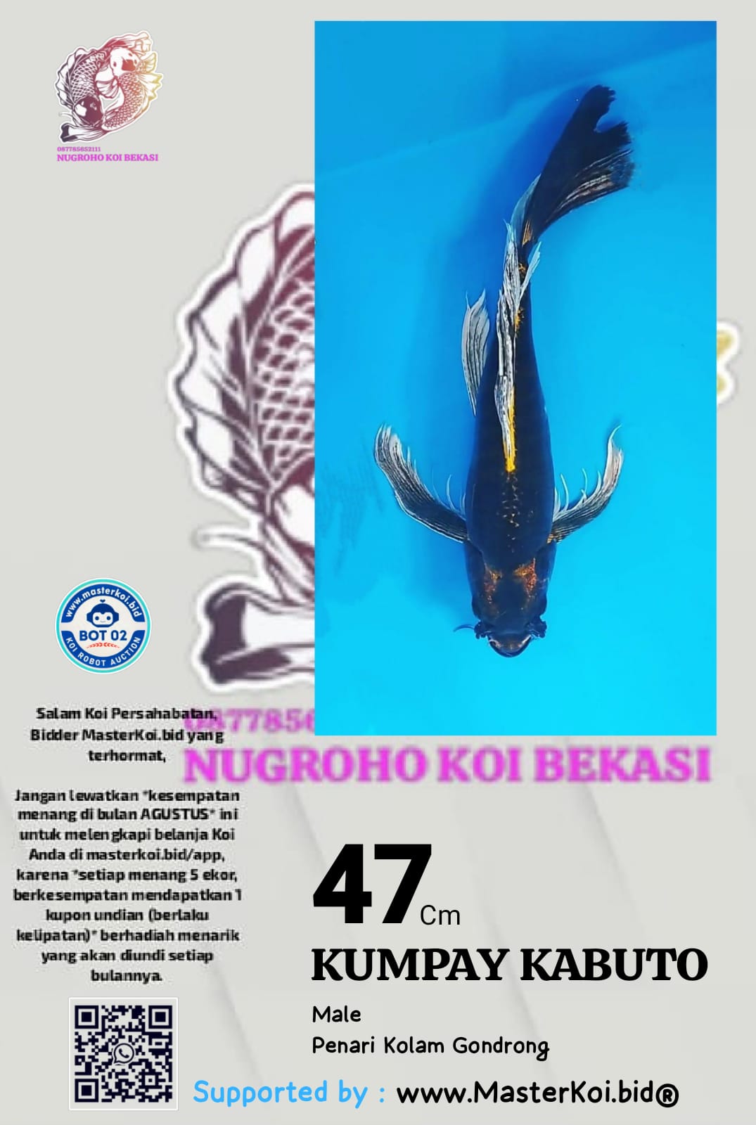 Lelang Koi Online, Jual Beli Ikan Koi, Pusat Jual Beli Koi, Info Lelang Koi Hari Ini, Platform Jual Beli Koi, Jual Beli Ikan Koi Online, Marketplace Ikan Koi, Jual Koi Terbaik, Tempat Beli Koi Berkualitas, Pasar Ikan Koi Online Terpercaya, Penjual Ikan Koi Terpercaya, Beli Koi Hias Online, Ikan Koi untuk Dijual, Koi Kualitas Terbaik, Toko Online Ikan Koi, Koi Hias Untuk Dijual, Jual Beli Ikan Koi Lokal, Koi Indonesia Online, Pusat Jual Beli Koi Terbesar