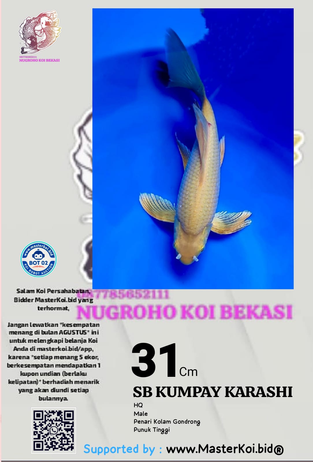 Lelang Koi Online, Jual Beli Ikan Koi, Pusat Jual Beli Koi, Info Lelang Koi Hari Ini, Platform Jual Beli Koi, Jual Beli Ikan Koi Online, Marketplace Ikan Koi, Jual Koi Terbaik, Tempat Beli Koi Berkualitas, Pasar Ikan Koi Online Terpercaya, Penjual Ikan Koi Terpercaya, Beli Koi Hias Online, Ikan Koi untuk Dijual, Koi Kualitas Terbaik, Toko Online Ikan Koi, Koi Hias Untuk Dijual, Jual Beli Ikan Koi Lokal, Koi Indonesia Online, Pusat Jual Beli Koi Terbesar