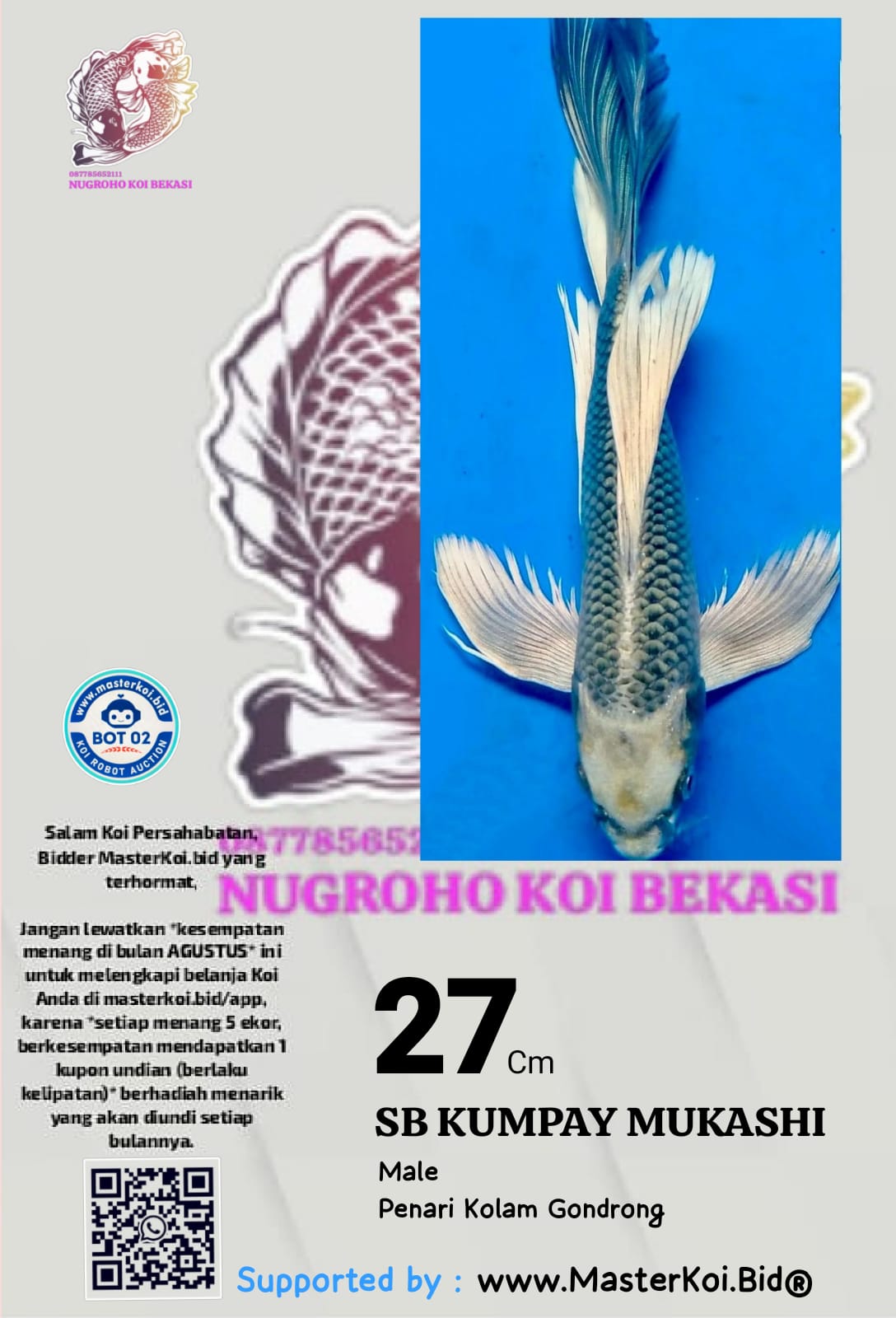 Lelang Koi Online, Jual Beli Ikan Koi, Pusat Jual Beli Koi, Info Lelang Koi Hari Ini, Platform Jual Beli Koi, Jual Beli Ikan Koi Online, Marketplace Ikan Koi, Jual Koi Terbaik, Tempat Beli Koi Berkualitas, Pasar Ikan Koi Online Terpercaya, Penjual Ikan Koi Terpercaya, Beli Koi Hias Online, Ikan Koi untuk Dijual, Koi Kualitas Terbaik, Toko Online Ikan Koi, Koi Hias Untuk Dijual, Jual Beli Ikan Koi Lokal, Koi Indonesia Online, Pusat Jual Beli Koi Terbesar