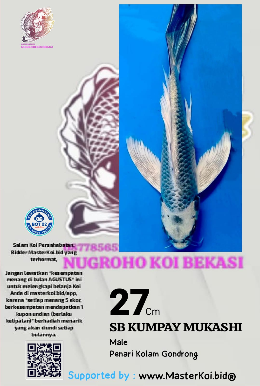 Lelang Koi Online, Jual Beli Ikan Koi, Pusat Jual Beli Koi, Info Lelang Koi Hari Ini, Platform Jual Beli Koi, Jual Beli Ikan Koi Online, Marketplace Ikan Koi, Jual Koi Terbaik, Tempat Beli Koi Berkualitas, Pasar Ikan Koi Online Terpercaya, Penjual Ikan Koi Terpercaya, Beli Koi Hias Online, Ikan Koi untuk Dijual, Koi Kualitas Terbaik, Toko Online Ikan Koi, Koi Hias Untuk Dijual, Jual Beli Ikan Koi Lokal, Koi Indonesia Online, Pusat Jual Beli Koi Terbesar