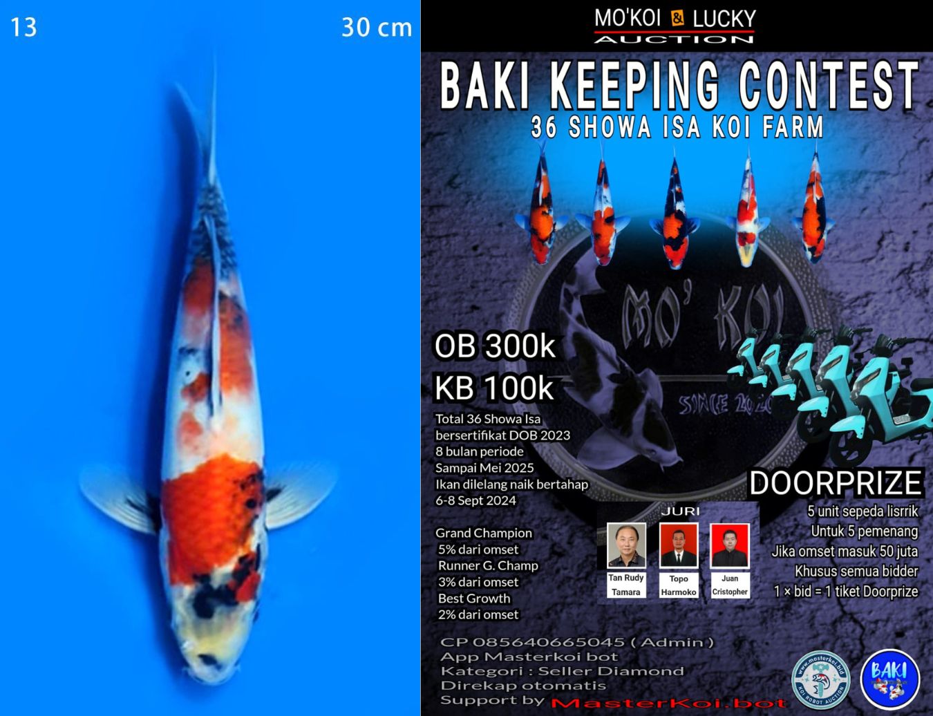 Lelang Koi Online, Jual Beli Ikan Koi, Pusat Jual Beli Koi, Info Lelang Koi Hari Ini, Platform Jual Beli Koi, Jual Beli Ikan Koi Online, Marketplace Ikan Koi, Jual Koi Terbaik, Tempat Beli Koi Berkualitas, Pasar Ikan Koi Online Terpercaya, Penjual Ikan Koi Terpercaya, Beli Koi Hias Online, Ikan Koi untuk Dijual, Koi Kualitas Terbaik, Toko Online Ikan Koi, Koi Hias Untuk Dijual, Jual Beli Ikan Koi Lokal, Koi Indonesia Online, Pusat Jual Beli Koi Terbesar