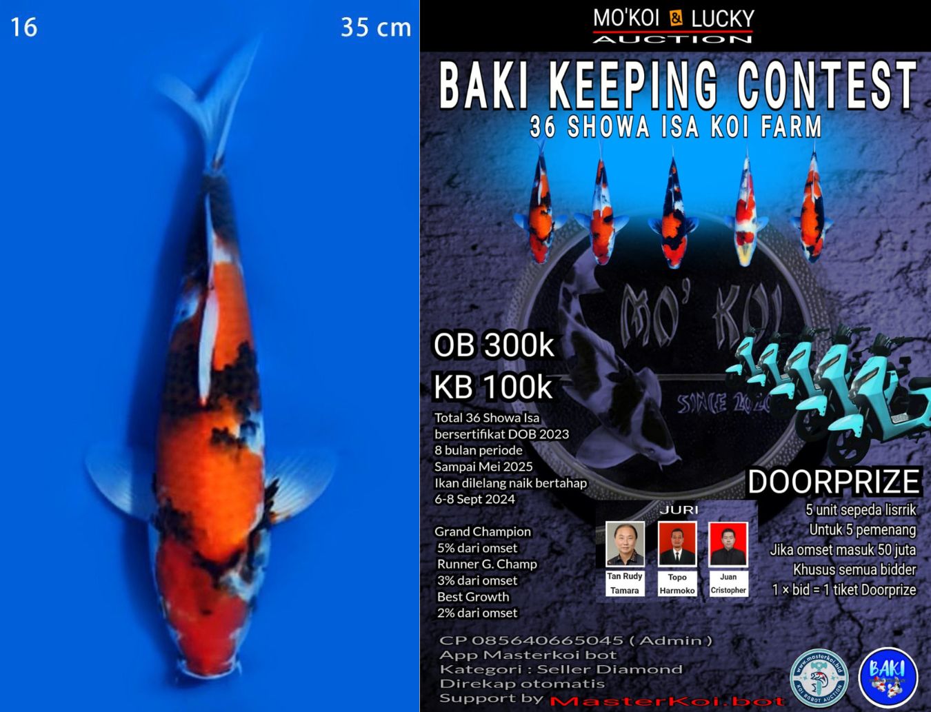 Lelang Koi Online, Jual Beli Ikan Koi, Pusat Jual Beli Koi, Info Lelang Koi Hari Ini, Platform Jual Beli Koi, Jual Beli Ikan Koi Online, Marketplace Ikan Koi, Jual Koi Terbaik, Tempat Beli Koi Berkualitas, Pasar Ikan Koi Online Terpercaya, Penjual Ikan Koi Terpercaya, Beli Koi Hias Online, Ikan Koi untuk Dijual, Koi Kualitas Terbaik, Toko Online Ikan Koi, Koi Hias Untuk Dijual, Jual Beli Ikan Koi Lokal, Koi Indonesia Online, Pusat Jual Beli Koi Terbesar