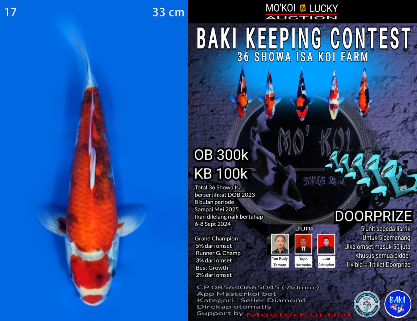 Lelang Koi Online, Jual Beli Ikan Koi, Pusat Jual Beli Koi, Info Lelang Koi Hari Ini, Platform Jual Beli Koi, Jual Beli Ikan Koi Online, Marketplace Ikan Koi, Jual Koi Terbaik, Tempat Beli Koi Berkualitas, Pasar Ikan Koi Online Terpercaya, Penjual Ikan Koi Terpercaya, Beli Koi Hias Online, Ikan Koi untuk Dijual, Koi Kualitas Terbaik, Toko Online Ikan Koi, Koi Hias Untuk Dijual, Jual Beli Ikan Koi Lokal, Koi Indonesia Online, Pusat Jual Beli Koi Terbesar