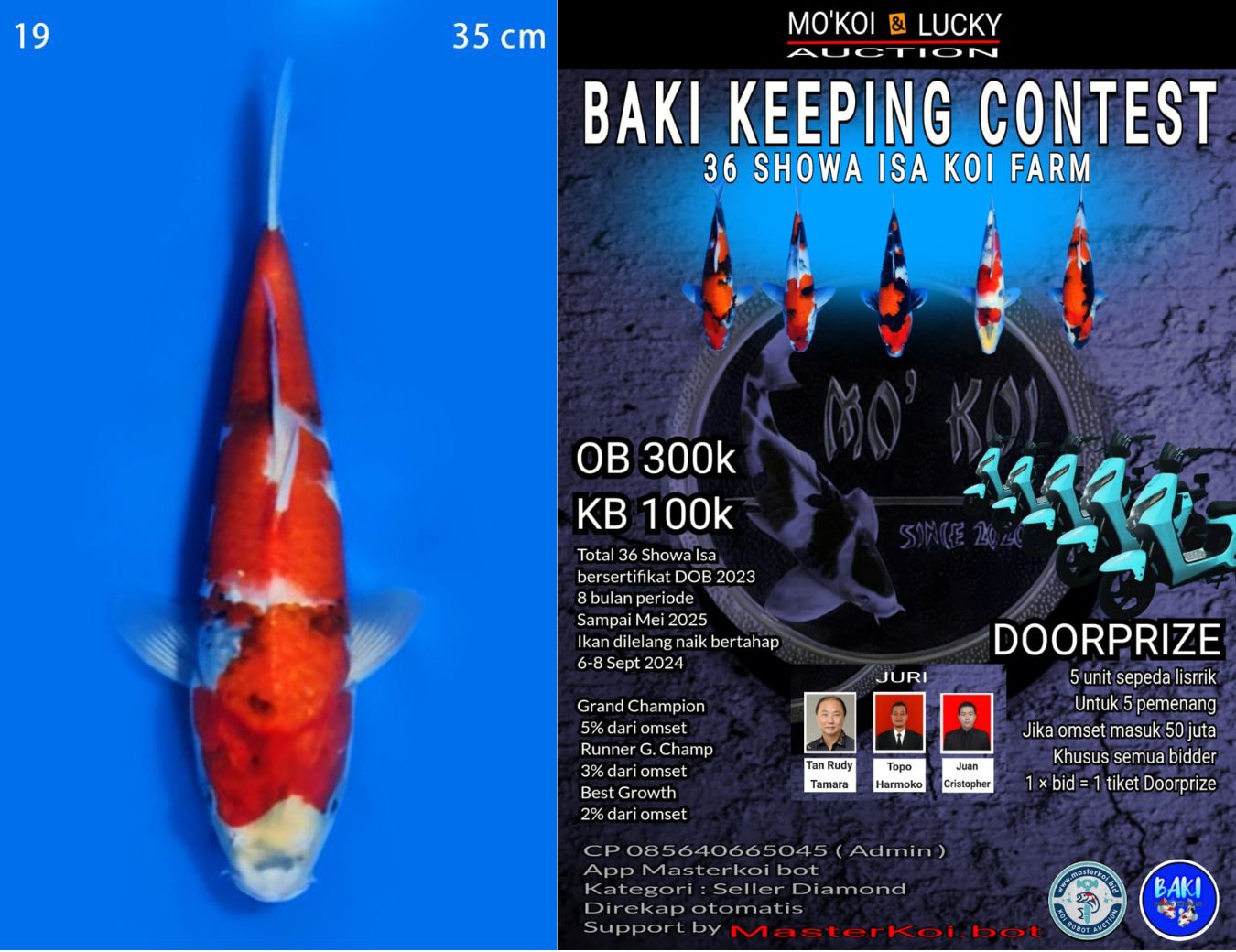 Lelang Koi Online, Jual Beli Ikan Koi, Pusat Jual Beli Koi, Info Lelang Koi Hari Ini, Platform Jual Beli Koi, Jual Beli Ikan Koi Online, Marketplace Ikan Koi, Jual Koi Terbaik, Tempat Beli Koi Berkualitas, Pasar Ikan Koi Online Terpercaya, Penjual Ikan Koi Terpercaya, Beli Koi Hias Online, Ikan Koi untuk Dijual, Koi Kualitas Terbaik, Toko Online Ikan Koi, Koi Hias Untuk Dijual, Jual Beli Ikan Koi Lokal, Koi Indonesia Online, Pusat Jual Beli Koi Terbesar