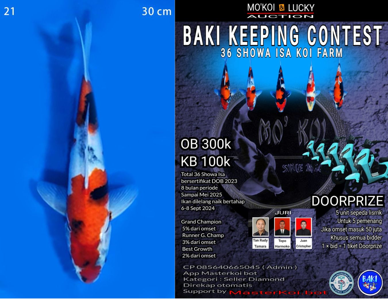 Lelang Koi Online, Jual Beli Ikan Koi, Pusat Jual Beli Koi, Info Lelang Koi Hari Ini, Platform Jual Beli Koi, Jual Beli Ikan Koi Online, Marketplace Ikan Koi, Jual Koi Terbaik, Tempat Beli Koi Berkualitas, Pasar Ikan Koi Online Terpercaya, Penjual Ikan Koi Terpercaya, Beli Koi Hias Online, Ikan Koi untuk Dijual, Koi Kualitas Terbaik, Toko Online Ikan Koi, Koi Hias Untuk Dijual, Jual Beli Ikan Koi Lokal, Koi Indonesia Online, Pusat Jual Beli Koi Terbesar