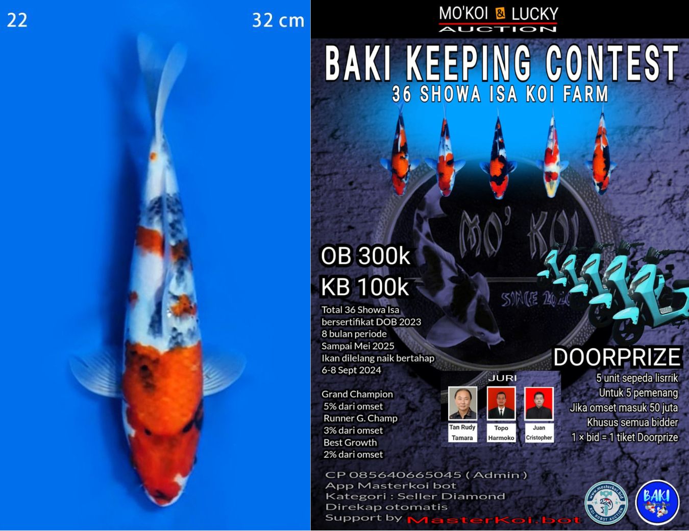 Lelang Koi Online, Jual Beli Ikan Koi, Pusat Jual Beli Koi, Info Lelang Koi Hari Ini, Platform Jual Beli Koi, Jual Beli Ikan Koi Online, Marketplace Ikan Koi, Jual Koi Terbaik, Tempat Beli Koi Berkualitas, Pasar Ikan Koi Online Terpercaya, Penjual Ikan Koi Terpercaya, Beli Koi Hias Online, Ikan Koi untuk Dijual, Koi Kualitas Terbaik, Toko Online Ikan Koi, Koi Hias Untuk Dijual, Jual Beli Ikan Koi Lokal, Koi Indonesia Online, Pusat Jual Beli Koi Terbesar