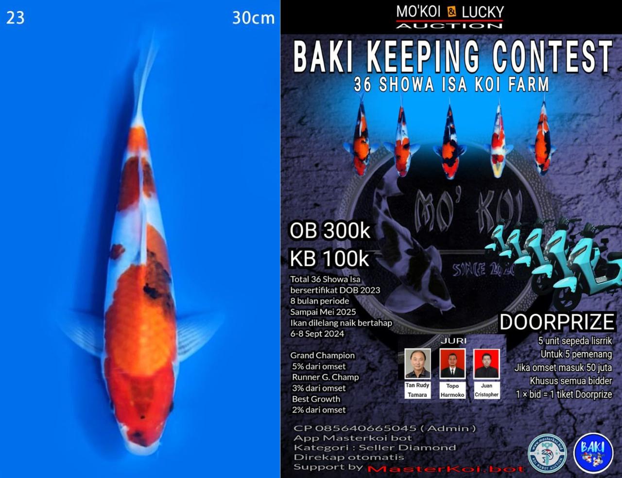 Lelang Koi Online, Jual Beli Ikan Koi, Pusat Jual Beli Koi, Info Lelang Koi Hari Ini, Platform Jual Beli Koi, Jual Beli Ikan Koi Online, Marketplace Ikan Koi, Jual Koi Terbaik, Tempat Beli Koi Berkualitas, Pasar Ikan Koi Online Terpercaya, Penjual Ikan Koi Terpercaya, Beli Koi Hias Online, Ikan Koi untuk Dijual, Koi Kualitas Terbaik, Toko Online Ikan Koi, Koi Hias Untuk Dijual, Jual Beli Ikan Koi Lokal, Koi Indonesia Online, Pusat Jual Beli Koi Terbesar