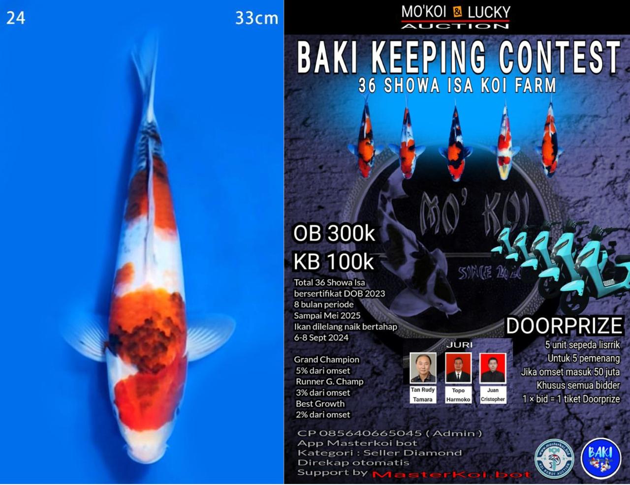 Lelang Koi Online, Jual Beli Ikan Koi, Pusat Jual Beli Koi, Info Lelang Koi Hari Ini, Platform Jual Beli Koi, Jual Beli Ikan Koi Online, Marketplace Ikan Koi, Jual Koi Terbaik, Tempat Beli Koi Berkualitas, Pasar Ikan Koi Online Terpercaya, Penjual Ikan Koi Terpercaya, Beli Koi Hias Online, Ikan Koi untuk Dijual, Koi Kualitas Terbaik, Toko Online Ikan Koi, Koi Hias Untuk Dijual, Jual Beli Ikan Koi Lokal, Koi Indonesia Online, Pusat Jual Beli Koi Terbesar